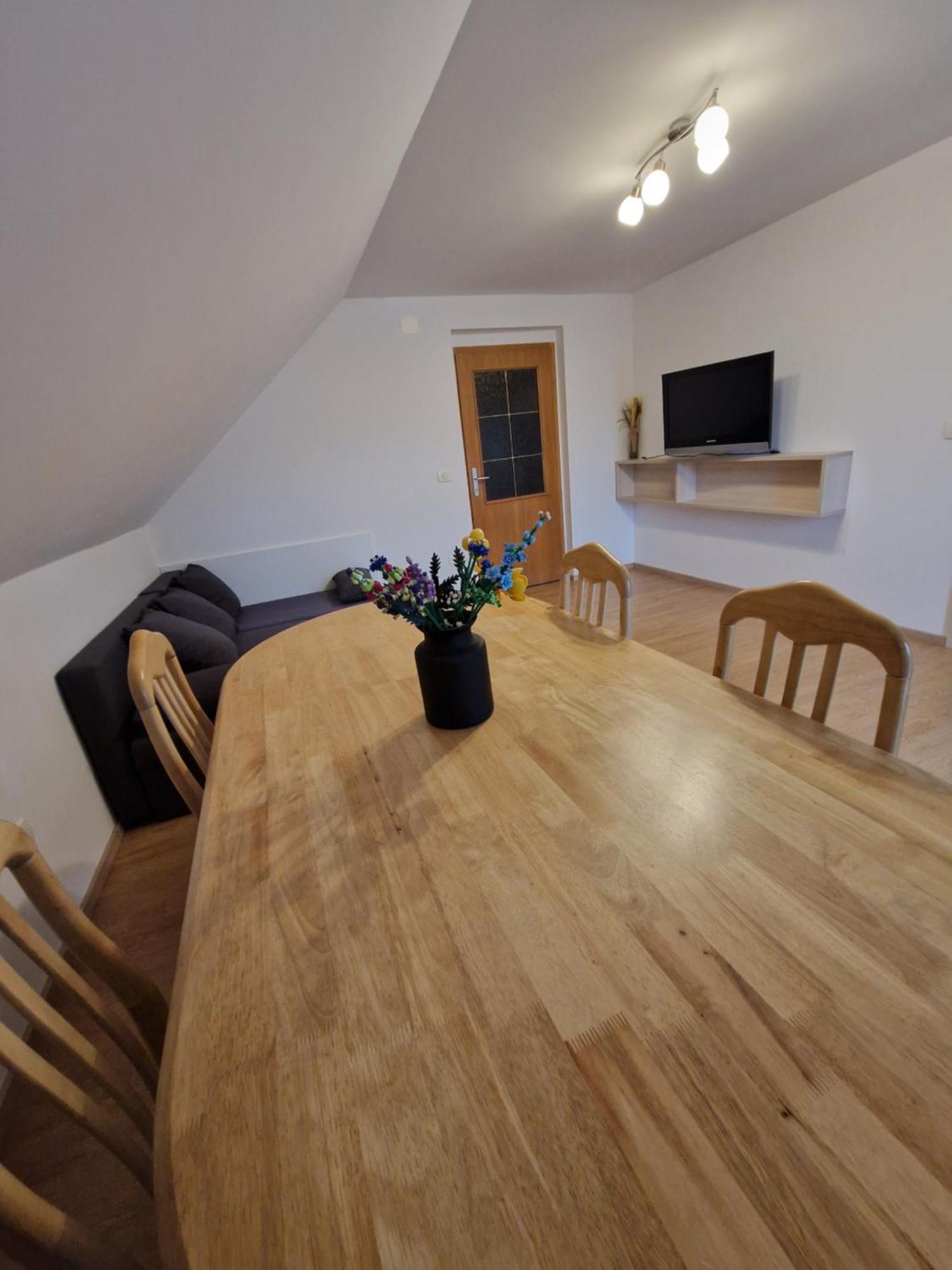 Apartment Ravnik Brod 13 博希尼 外观 照片